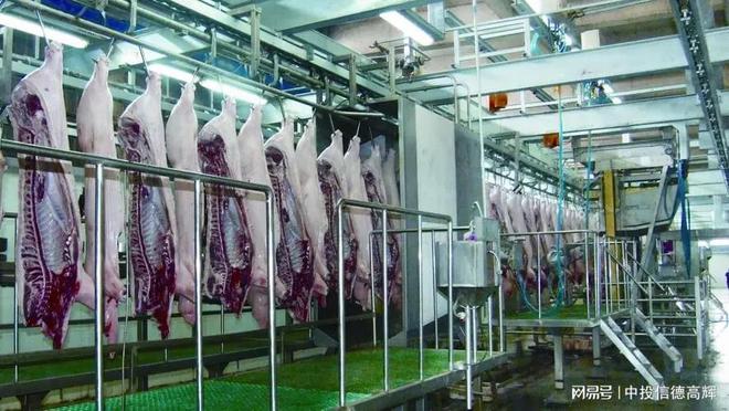 生豬屠宰加工廠與配套果蔬加工設(shè)備項(xiàng)目可行性研究